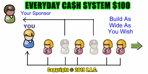 EVERYDAY CA$H SYSTEM $100